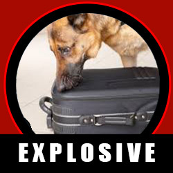 EXPLOSIVE detection dog certification