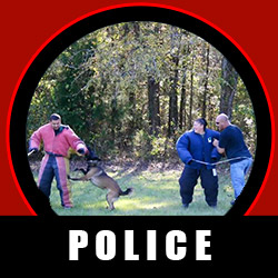 police service dog certification