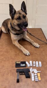 K9 Axel - Hartford PD