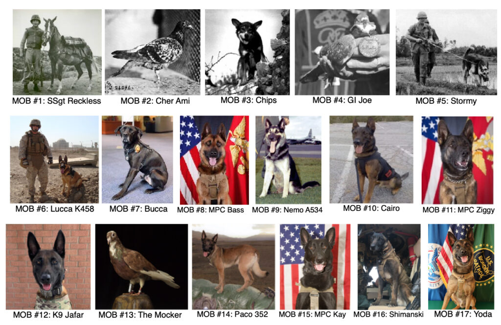 Animals in War & Peace