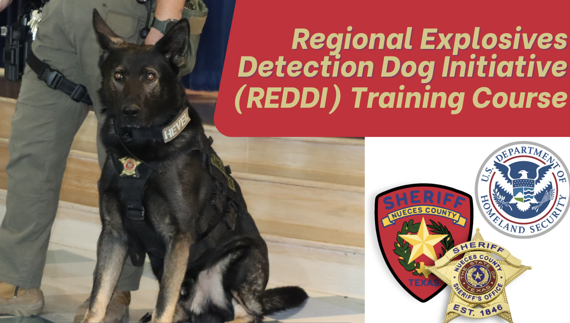 reddi training course