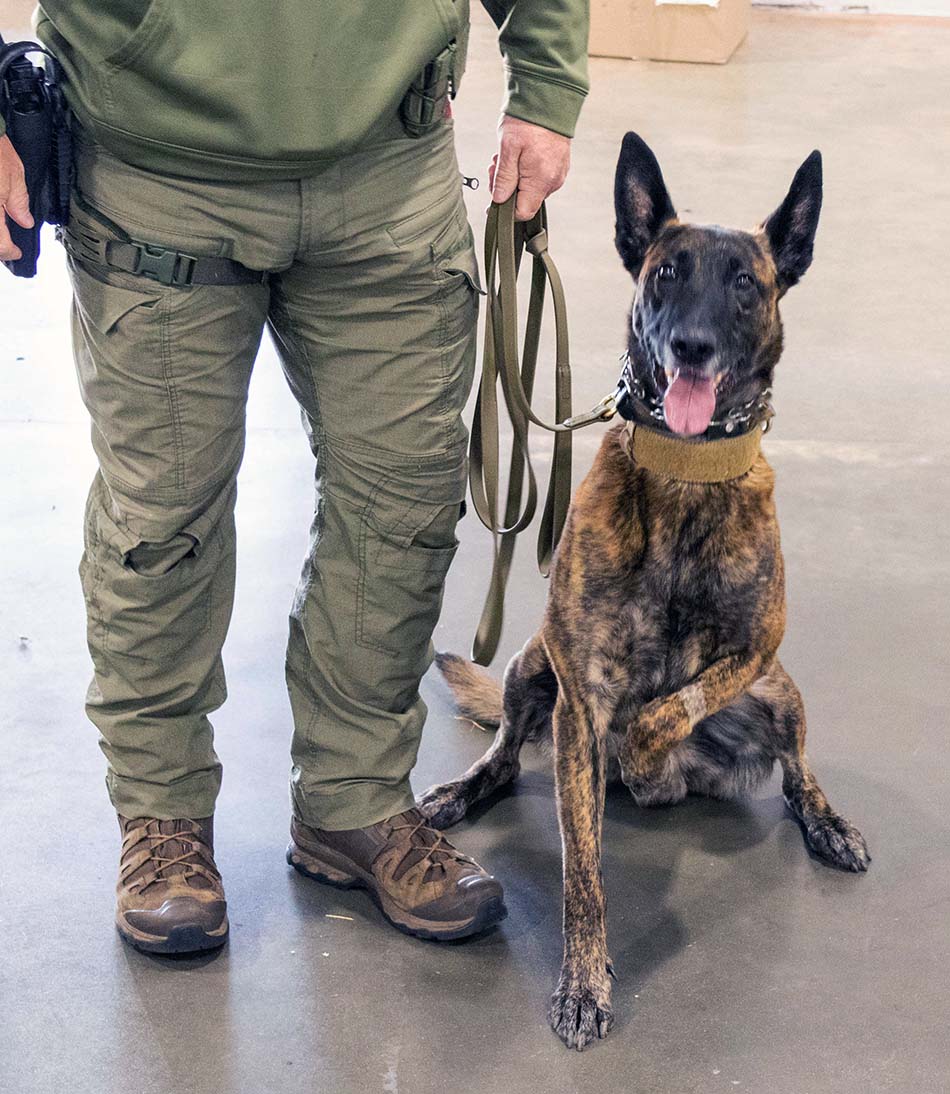Lou Crouch K9 Seminar Photos
