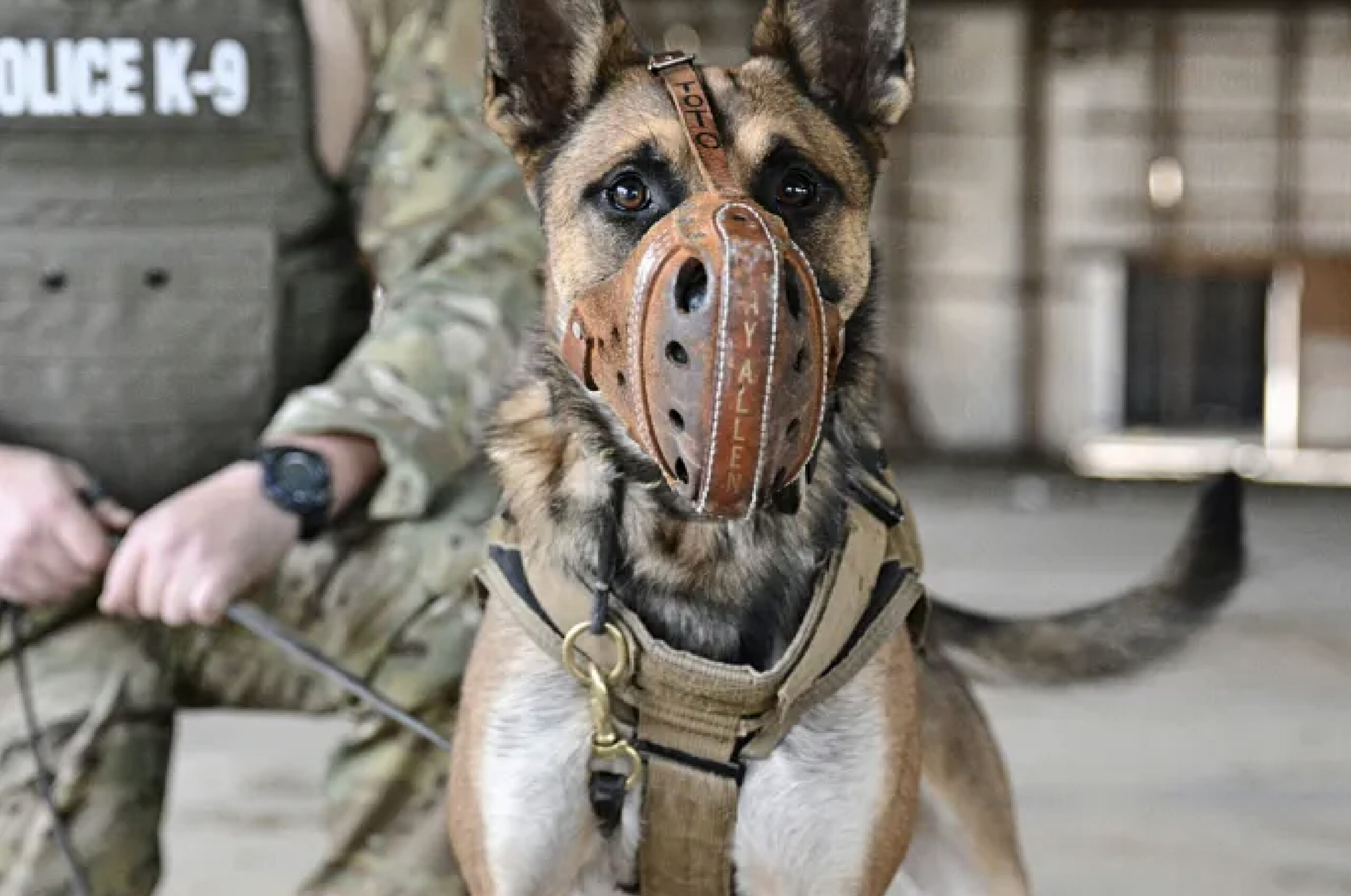 Dothan PD K9 Seminar